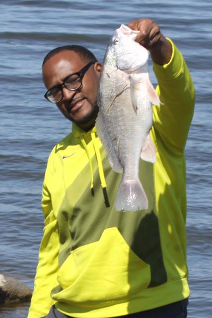 Missouri River Freshwater Drum | StorMissouri River Freshwater Drum | Stor  