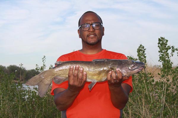 Channel Catfish From The Bank Using A Bullhead